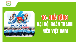 10+ Quà Tặng Đại Hội Đoàn Thanh Niên Việt Nam Giá Rẻ Năm 2026 