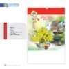 Lịch Treo Tường Lò Xo 2027 NB Mẫu NB253 (16 x 25 cm) Ấn Phẩm Quà Tặng Đại Hội & Hội Nghị in logo doanh nghiệp quà tặng Tết tại Quà Tặng Đại Hội VN